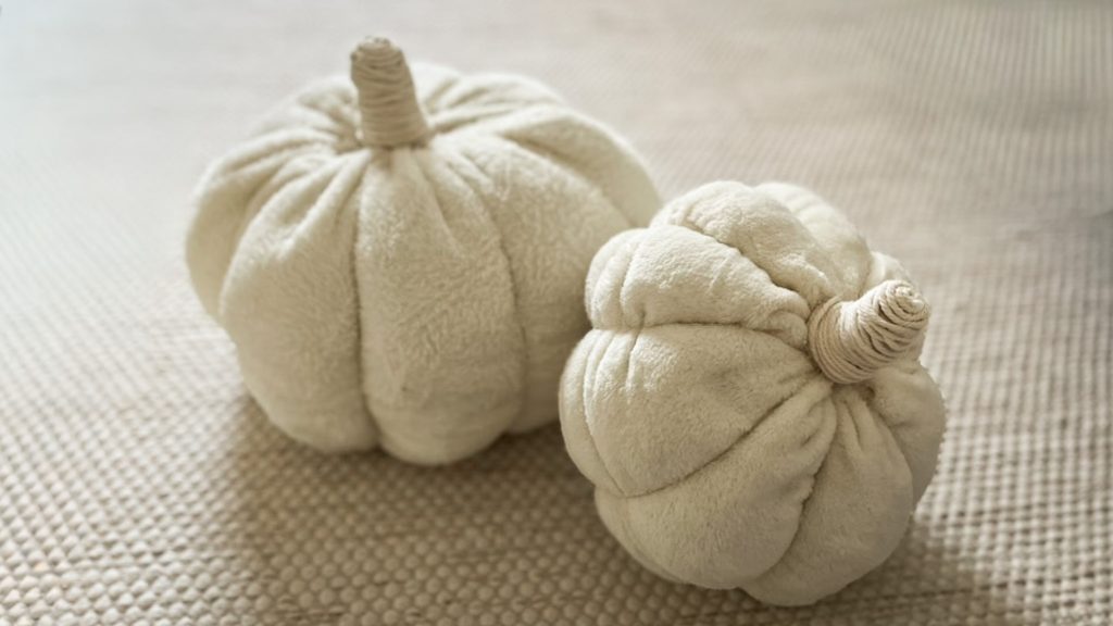 DIY-Anleitung für dein eigenes Kürbis Kissen. 