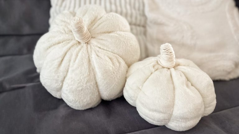 DIY Kürbis Kissen – Herbstliche Deko selber machen
