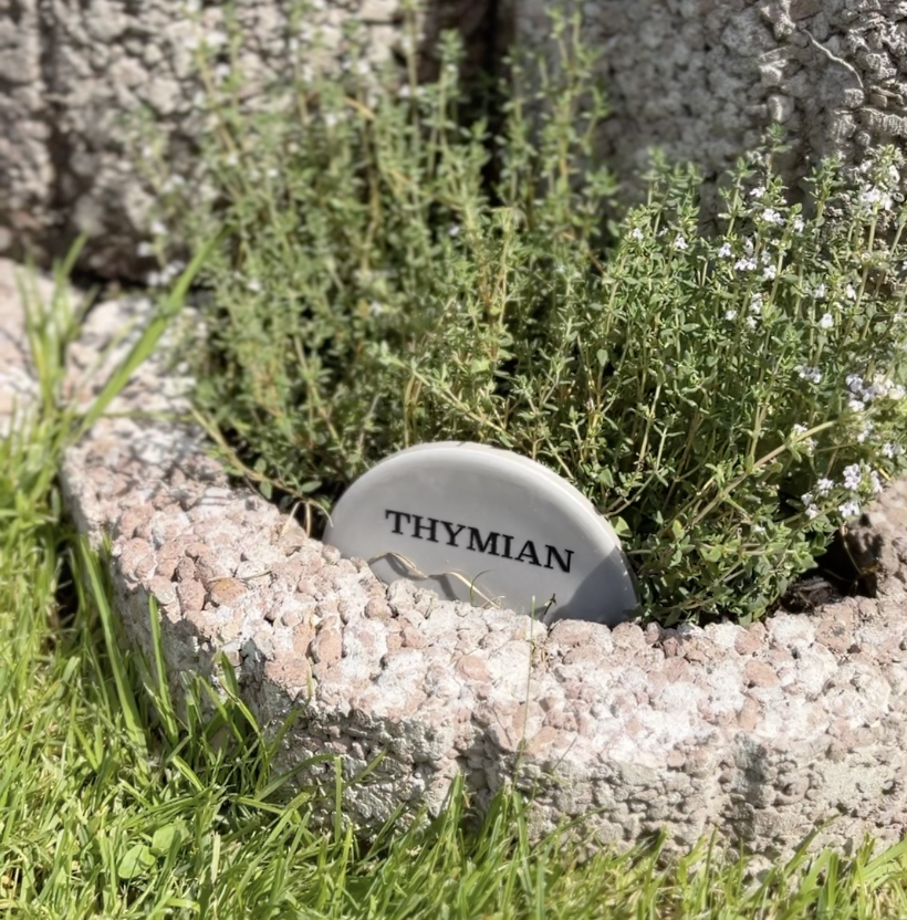 DIY Kräuterschilder aus Fliesen | Praktische Pflanzenstecker für den Kräutergarten
